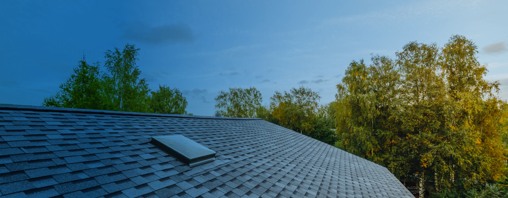 top view of asphalt shingle roof